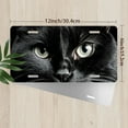 thumbnail image 2 of Black Cat Close up Front License Plate, Metal License Plate, Funny Standard Plates Personalized Novelty Decorative For Men/Women/Boys/Girls Car 6×12 Inch, 2 of 6