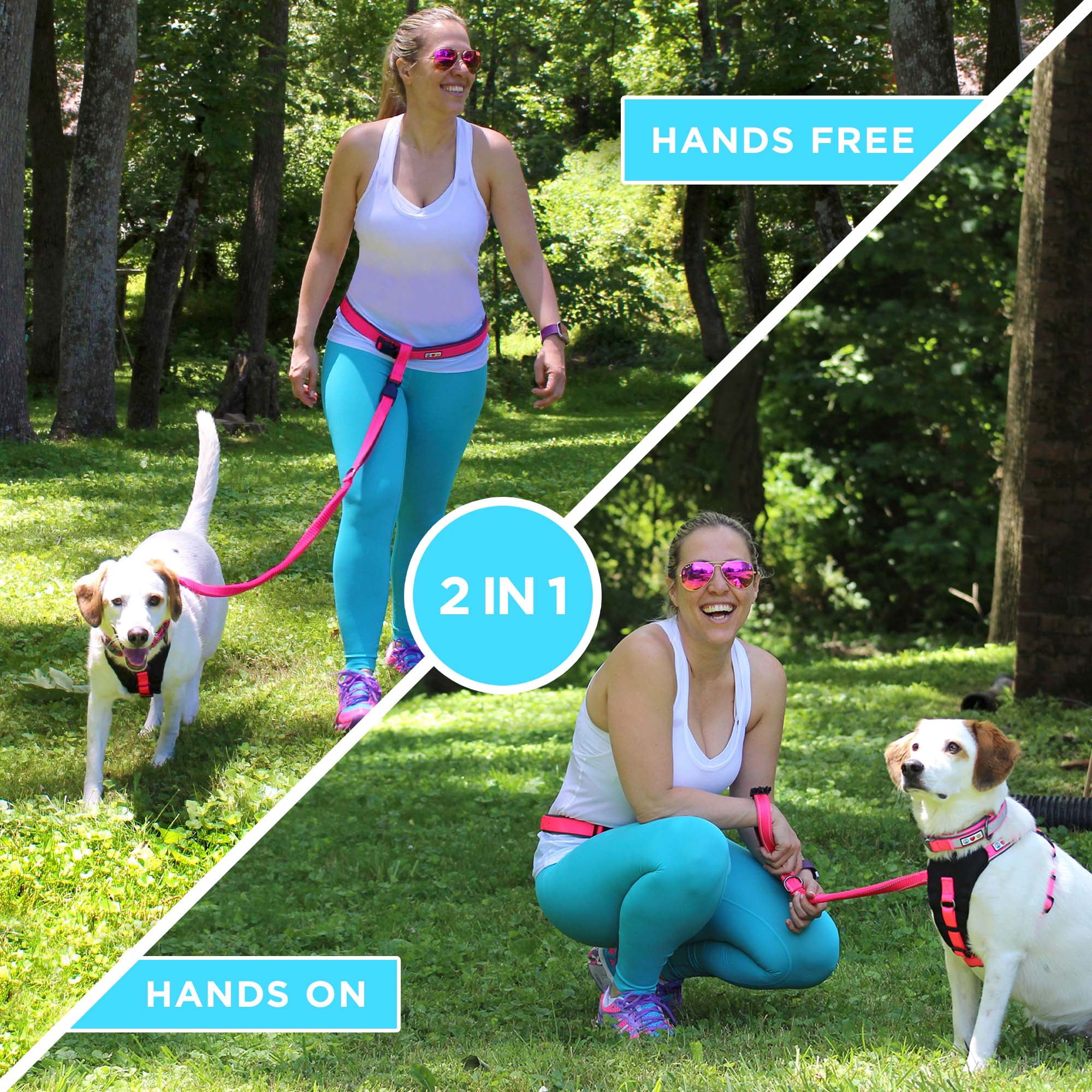 Pawtitas Dog Running Leash Hands Free for Large and Medium Dogs Reflective Dog Running Leash - Black Leash