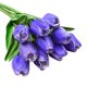 thumbnail image 1 of Tulipanes artificiales de seda de 34 cm para decoración del hogar, cocina, jardín y boda., 1 of 2