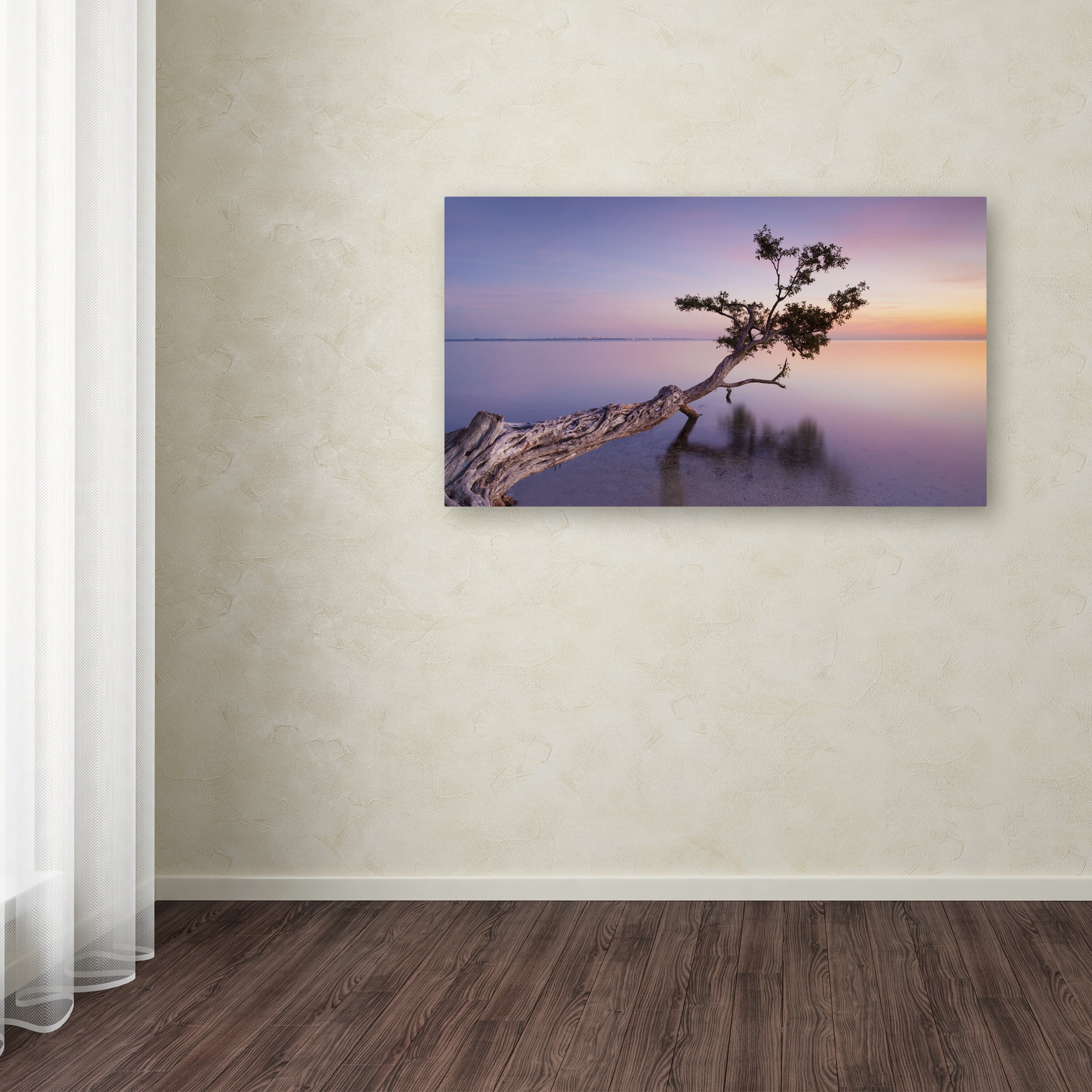 Trademark Fine Art "Water Tree XV" Canvas Art by Moises Levy