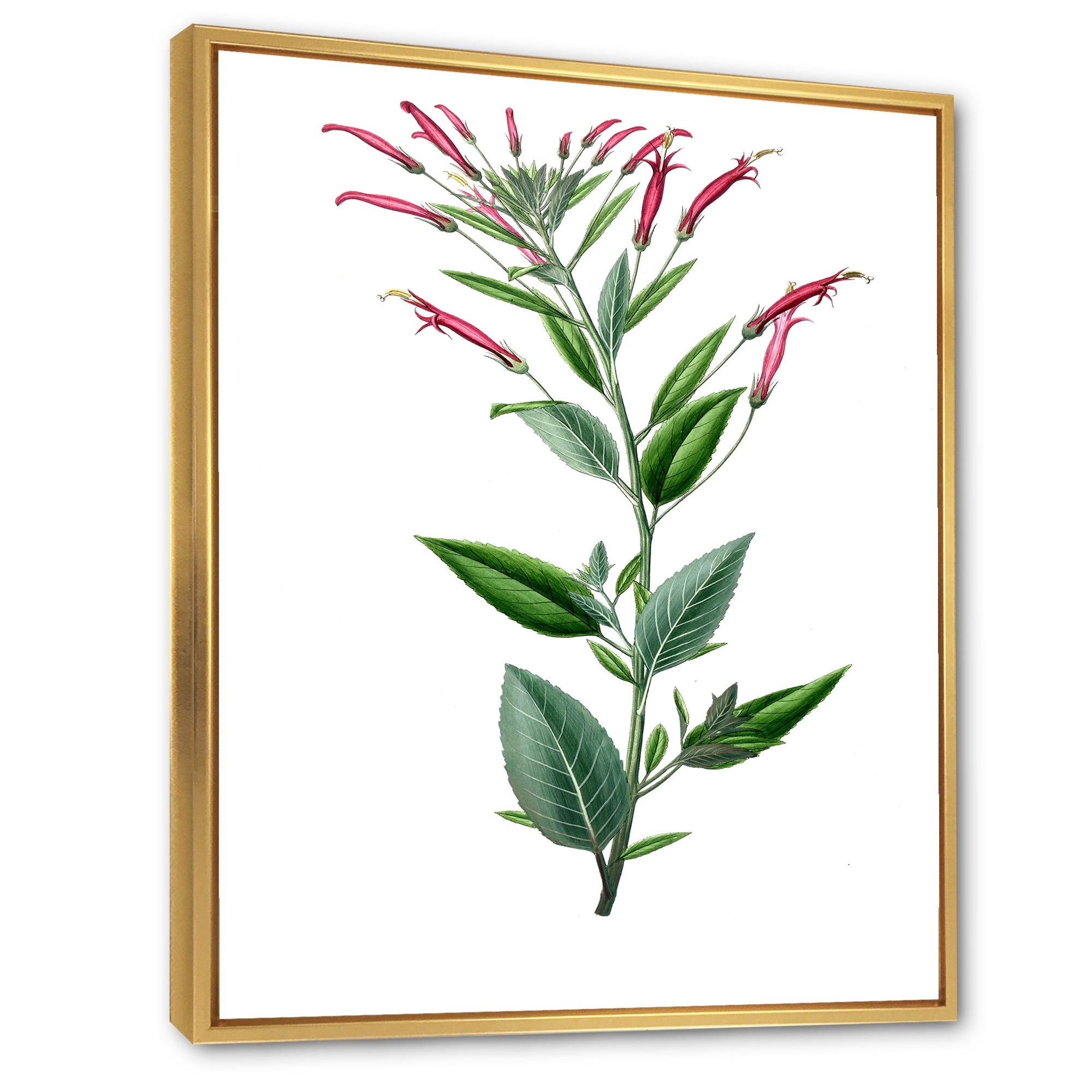 Designart 'Ancient American Flora III' Traditional Framed Canvas Wall Art Print