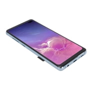 Riousery 6.4 Inch Phone Screen Replacement OLED Display Touch Digitizer Assembly Complete Repair Tool Kit with Blue Frame for Samsung Galaxy S10 Plus SM-G975F/DS SM-G975U