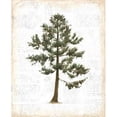 thumbnail image 2 of Into the Woods Trees I Poster Print by Emily Adams, 2 of 2