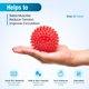 thumbnail image 4 of Pelota de masaje con pinchos, pelota de masaje con forma de erizo de 9 cm y rodillo de masaje para pies de 15 cm, juego de pelotas de masaje - rojo, 4 of 4