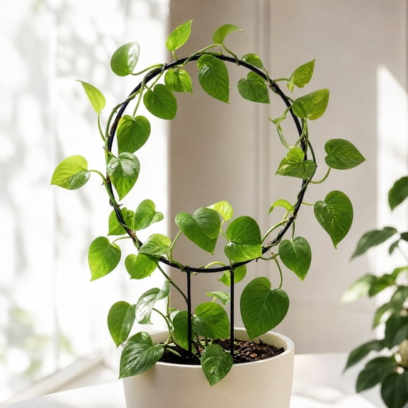 Round Trellis for Climbing Plants, 9Inch Round Small Plant Support Stakes, Flower Houseplant Hoya Support for Garden Stem Vines Potted Plants