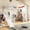 White, variant on Bellemave Full Size Loft Bed with Desk, Slide, Stairs and Basketball Hoop, Metal Gaming Loft Beds Frame with Storage Wardrobe, Space-Saving Design for Small Rooms (Black)