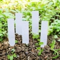 thumbnail image 2 of LAFGUR Plant Tags, Plant Labels, 100 Pcs For Garden Nursery Flowers Vegetables, 2 of 8