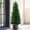 Green-2, variant on MARTINE MALL 3ft Artificial Norfolk Pine Tree Faux Christmas Tree Fake Potted Plants for Front Porch Outdoor Indoor Garden Christmas Decor