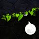 thumbnail image 1 of CRILSTYLEO 20Ud Accesorio Para Sujetar Plantas En Pared Transparente Fuerte Y Duradero, 1 of 8
