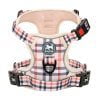 Checkered Beige
