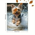 thumbnail image 3 of Yorkshire Terrier Dog Canvas Print/Wall Art，Suitable for Living Room， Bedroom， Bathroom， Kitchen， and Office Decoration., 3 of 8