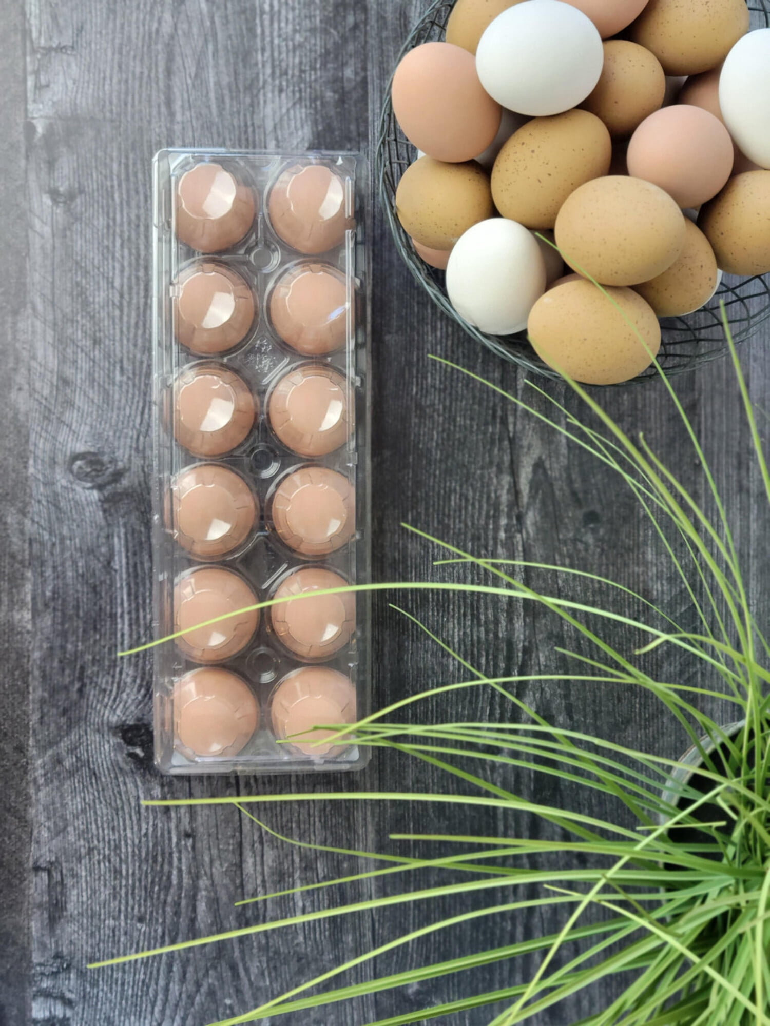 Jumbo Cell 12-Egg Clear Plastic Carton - 35 pack