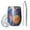 Pioneer Flower, variant on 12oz Stemless Wine Tumblers Pioneer Flower Vacuum Insulated Stainless Steel Travel Tumbler Cups Mug with Lid and Straw for Champaign,Cocktail,Beer with Cleaning Brush