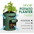 thumbnail image 4 of Nvzi -b 5 Pack 7 Gallon Potato Growing Bags, Planter Garden Grow Bags with Flap, Double Layer Breathable Nonwoven Cloth for Planting/Vegetable/Tomato/Aeration Fabric Pots with Handles Dark green, 4 of 4