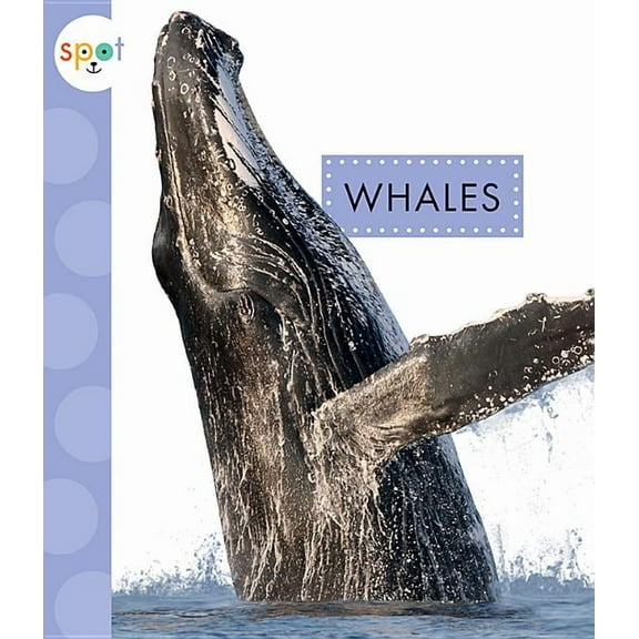 Spot Ocean Animals: Whales (Paperback)