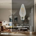 thumbnail image 5 of Bulbrite 862789 4W Dimmable F15 Shape 2700K Filament Medium E26 Base Fiesta Clear Iridescent LED Bulb - Pack of 4, 5 of 6