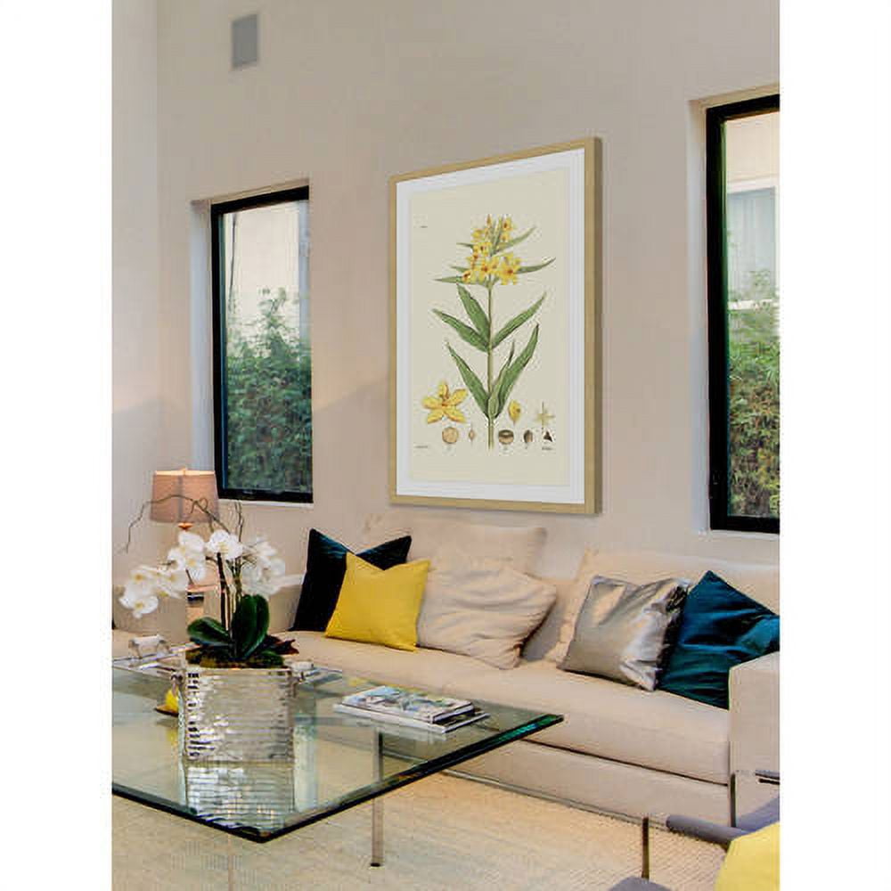 "Antique Floral VIII" Framed Painting Print
