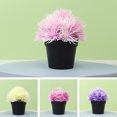 thumbnail image 3 of Fake Plants Mini Potted - Artificial Potted Flowers with Pot Small Faux Plants Indoor Plastic No Fade for Office Desktop Table Window Sill Bathroom, 3 of 8