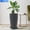 Black, variant on Active Mind Ltd 1-Pack 21-Inch Tall Modern Round Planters, Extra Large Round Flower Pots for Indoor/Outdoor, Lightweight Resin Garden Planters for Patio, Porch - Contemporary Home Decor (Gray)