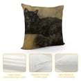 thumbnail image 4 of Orinice Cute Cat Graphic Decorative Throw Pillow Cover for Home Couch Living Room Bed Sofa - High-Quality Short Plush Material - Invisible Zipper Design - 1PC 22x22in, 4 of 5