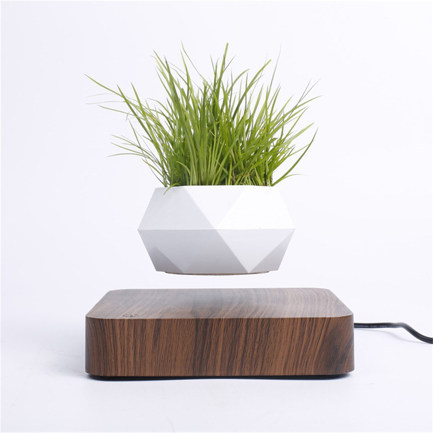 Floating plant pot Idea