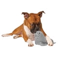 thumbnail image 3 of Canada Pooch , Jouets Compagnon de Refroidissement Freeze and Chill Morse Gris, 3 of 3
