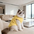 thumbnail image 2 of Dog Sweaters for Small Dogs Girl Boy Winter Puppy Clothes Warm Soft Doggie Sweatshirt Outfit for Dogs Cats Pet Apparel, S, 2 of 5
