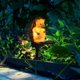 thumbnail image 4 of Eyfqtcs Luz Solar Resina Erizo Exterior Jardín Patio Césped Paisaje Lámpara (B), 4 of 9