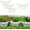 Rustic White - 10inch Tall, variant on Decorative Cast Iron Garden Edging, 4 Pack Full Rusted Victorian Garden Edging Landscape Border, Vintage Metal Yard Stake Low Picket Fence, 11.8" Tall Outdoor Flower Bed Lawn Fence Panels