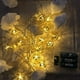 thumbnail image 1 of Guirnalda De Luces Led De Bola De Hierro Hueca De 3 Metros Y 20 Luces De Hadas, Luz De Hadas Alimentada Por Batería Para Decoración De Bodas, Fiestas De Cumpleaños Yuarrent HA038703-00, 1 of 6