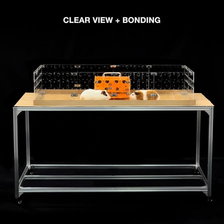 Acrylic Cage (Model-A) - Large 4x2ft Open Cage for Guinea Pigs, Rabbits, Button Quails, Hedgehogs, Small Animals That Need Roaming Space