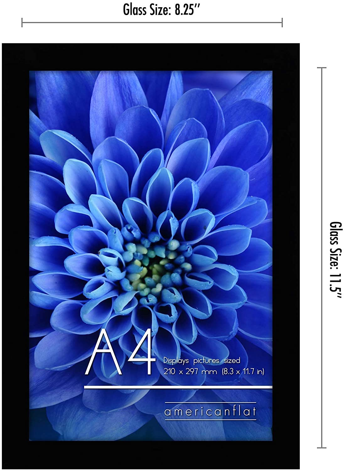 Frame Scale Background Poster Size Frame