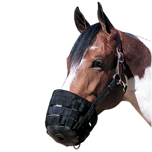 Average Horse Weaver Nylon Rubber Lined Grazing Muzzle W/ Leather Crown