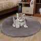 thumbnail image 5 of XWSHYW Electrodomésticos Estera de Interfaz de Carga Usb, Almohadilla Térmica para Mascotas, Almohadilla Térmica, Temperatura Constante, Calentador Pequeño para Gatos, 5 of 6