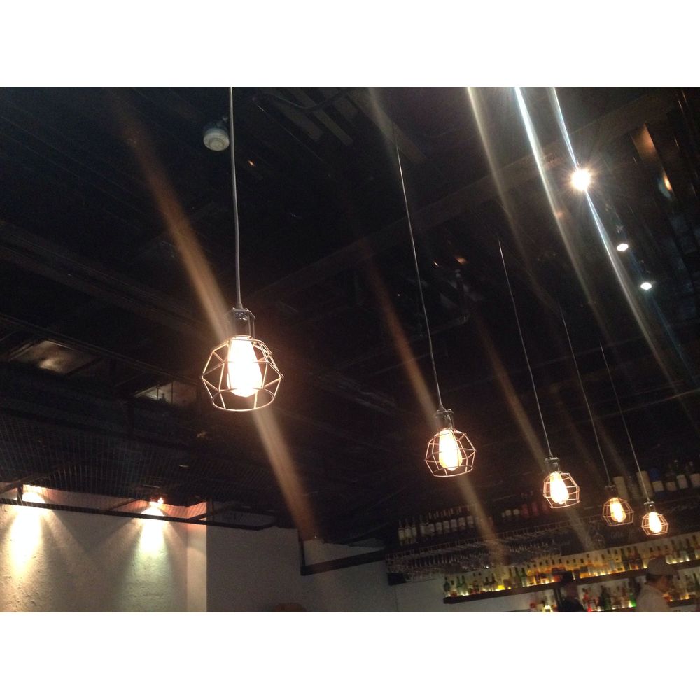 Lourdes Adjustable Height 1-light Edison Pendant with Bulb