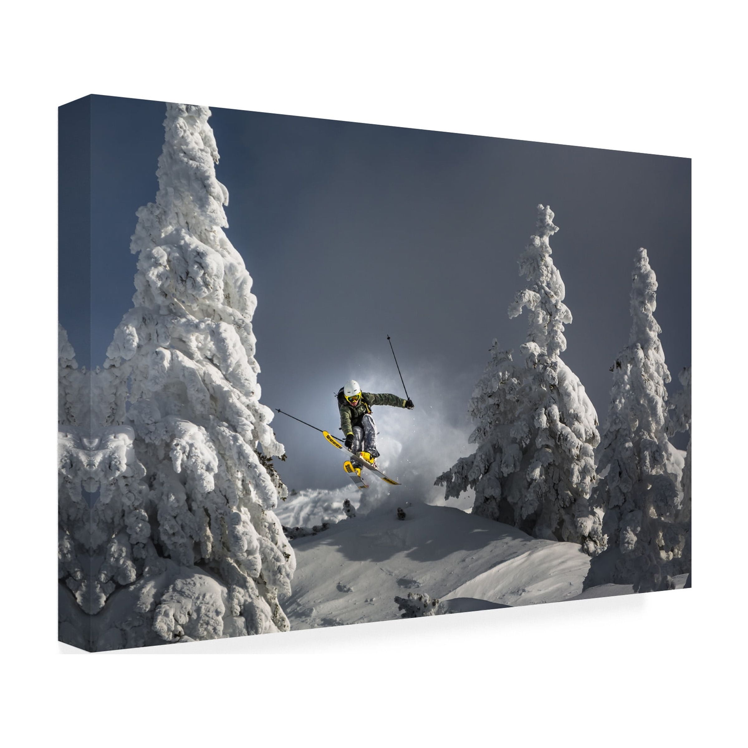 Sandi Bertoncelj 'Ski Is Life' Canvas Art