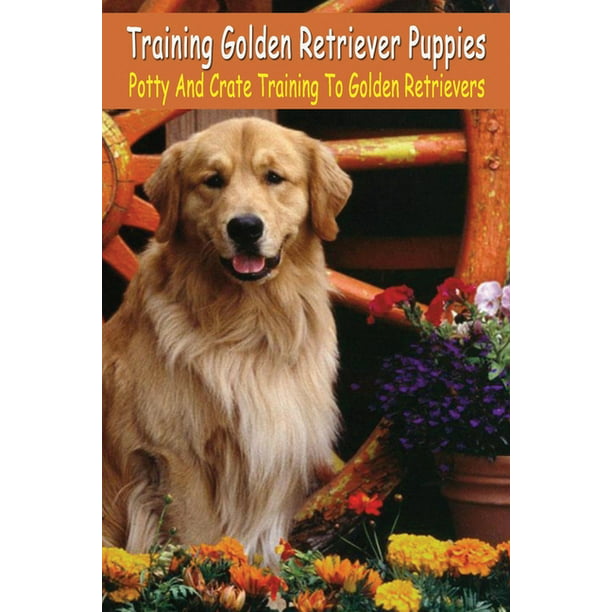 Training Golden Retriever Puppies Potty And Crate Training To Golden Retrievers Potty And Crate Training To Golden Retrievers Book Paperback Walmart Com Walmart Com