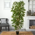 thumbnail image 2 of Nearly Natural 6ft. Bamboo Artificial Tree (Real Touch) UV Resistant (Indoor/Outdoor), 2 of 3