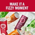 thumbnail image 6 of IZZE Sparkling Juice Beverage Blend, Strawberry, No Sugar Added, 8.4 FL OZ, 6 Cans, 6 of 14