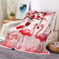 thumbnail image 3 of Valentines Throw Blanket, Valentine''s Day Red Pink Blankets and Throws, Romantic Flamingo Hearts Super Soft Warm Cozy Flannel Blankets for Bed Couch Sofa, 50 x 60 Inches, 3 of 6