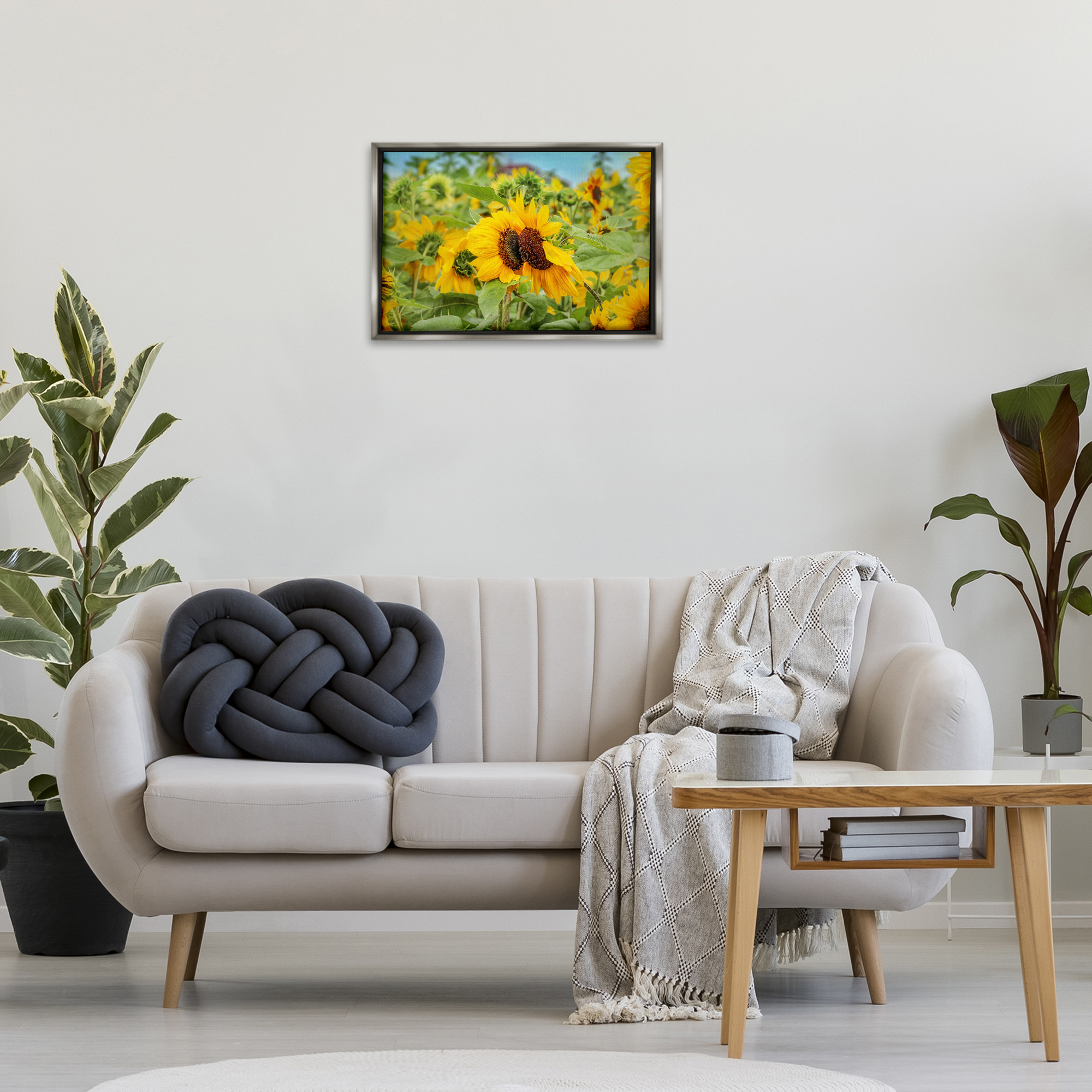 Stupell Industries Sunflower Field Photography Landscape Photography Gray Floater Framed Art Print Wall Art, 25 x 17