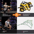 thumbnail image 4 of Escalera de agilidad ALPHAWORX, todo en uno, plegable con 12 conos y correas, 4 of 6