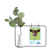 thumbnail image 1 of De color marron y blanco de la vaca lechera animal Jarrones colgantes de vidrio transparente Decoración Botella, 1 of 4