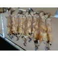 Real Tanned Hide Fur Pelt Face Tail 4550" (Grade 1)