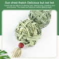 thumbnail image 6 of Walbest Rabbit Chew Toys for Treat and TeethNatural Grass Willow Balls for Bunny, Rabbit, Hamster, Guinea Pig Pet Supplies, 6 of 7