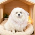 thumbnail image 5 of Comfort Mesh Pet Head Cover, Breathable Anti Eating Face Mask to Avoid Ingesting Foreign Objects for Small Medium Pets, 5 of 5