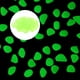 thumbnail image 5 of KAKOWELY 300 piedras luminosas de resina para pecera, decoración única para paisajismo de jardín., 5 of 5