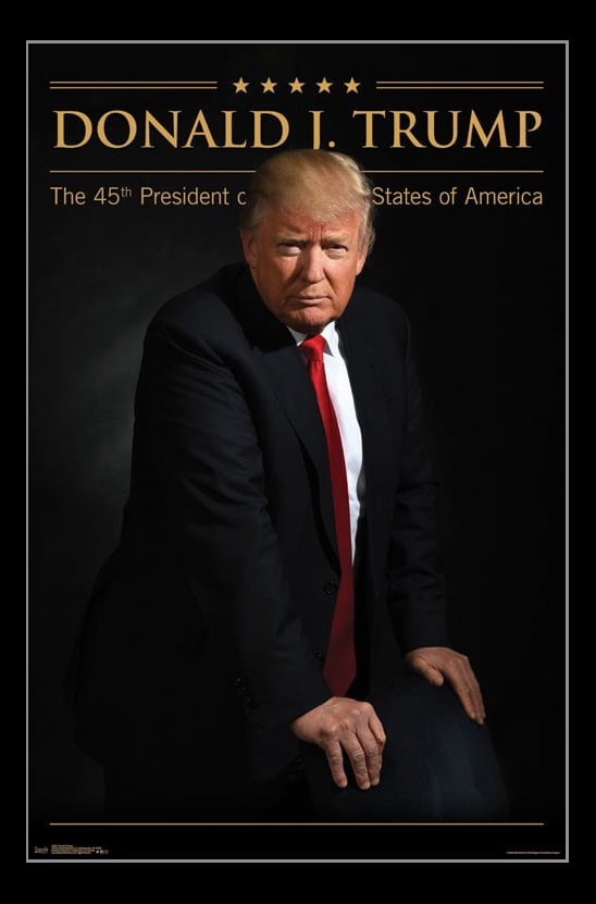 Donald Trump Poster Print - Walmart.com
