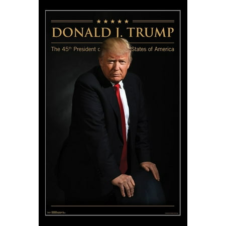 Donald Trump Poster Print
