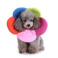 thumbnail image 1 of Dog Cone After Surgery, Pet Recovery Collar for Dogs and Cats, Protective Collar (Rainbow Flower), 1 of 7